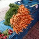Farmářské trhy na pražské Kubáni - SEVER Na trzích je čerstvý vzduch, nemusí se větrat. Nechápu zákaz prodeje, říká farmář z obce Dřísy – foto AC