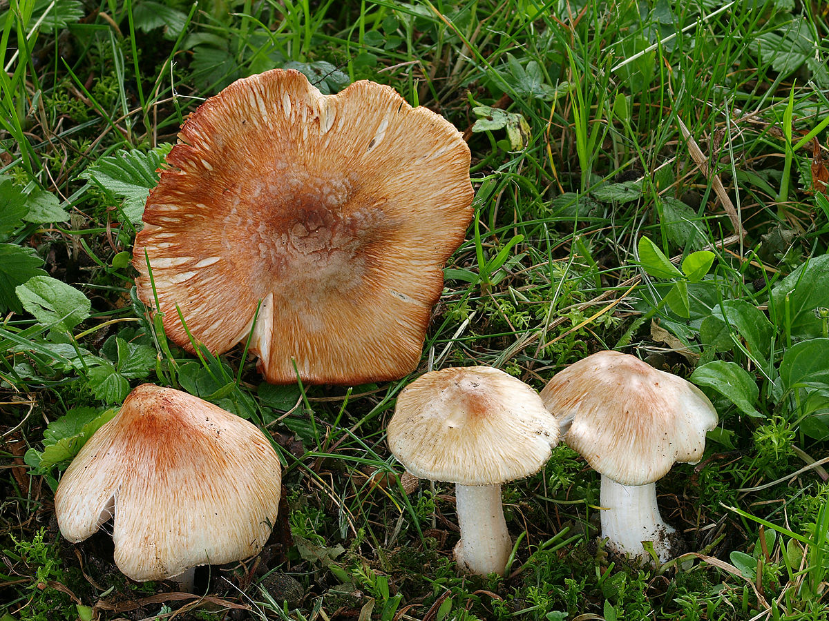 Obrázek #6 z 7