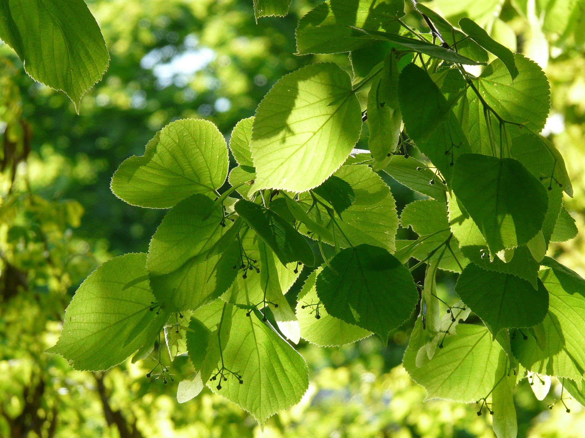Obrázek #7 z 9
