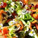 Sedmikráska, malý zázrak - sedmikraska salat