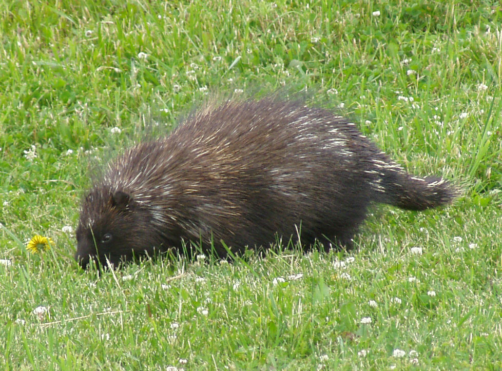 Obrázek #6 z 7