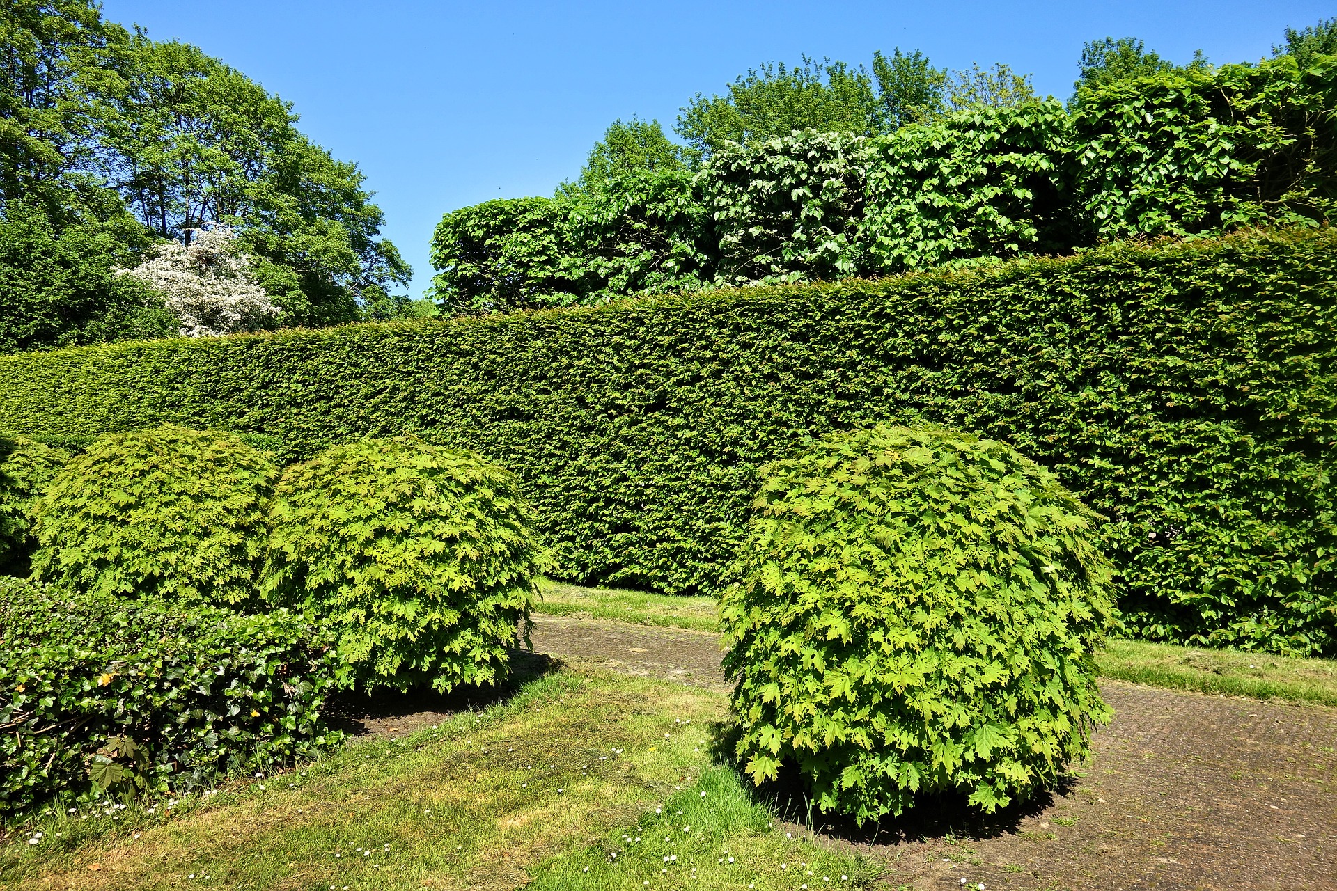 Obrázek #8 z 8