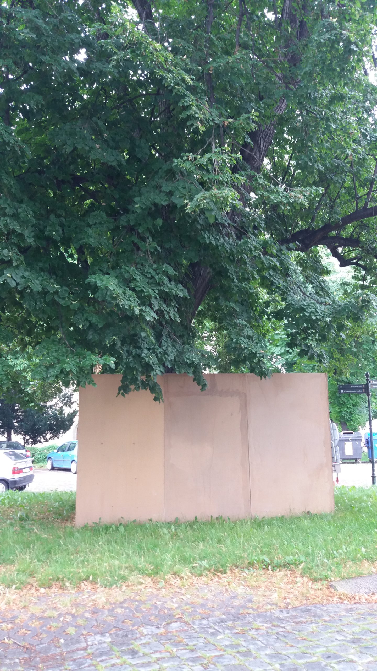Obrázek #5 z 6
