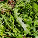 Není salát jako salát - Rukola salat