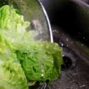 Není salát jako salát - salat zelenina