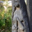 Přes Teplou Vltavu až do Kvildy - Kvilda vltava