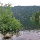 Ze Špičáku kolem ledovcových jezer - Černé jezero, Šumava