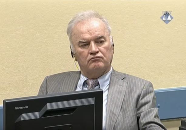 Obrázek #7 z 7