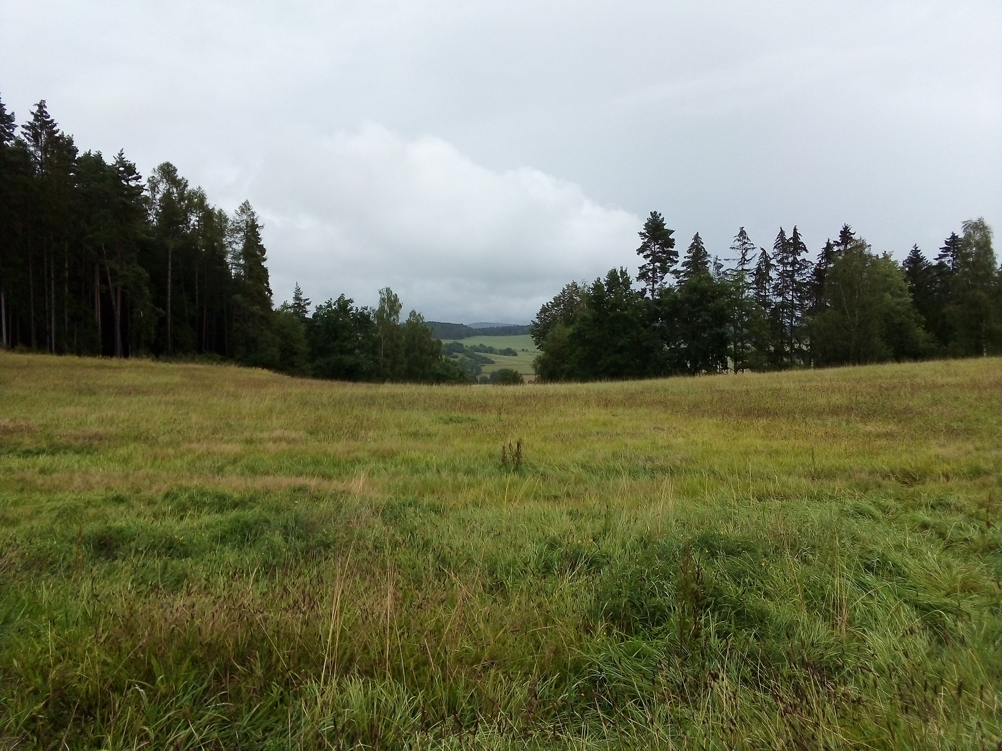 Obrázek #13 z 14