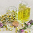 Fytoterapie - chamomile hermanek