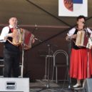 Hořovická heligónka v zahradě - horovice heligonka