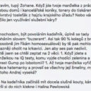 Manžel hejtmanky Jermanové z ANO se utrhl ze řetězu. „Parta buzerantů.“ Napsal jejímu soupeři - krkavice