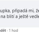Manžel hejtmanky Jermanové z ANO se utrhl ze řetězu. „Parta buzerantů.“ Napsal jejímu soupeři - pokorny postuje