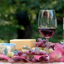 Sýr je král - syr vino hrozno