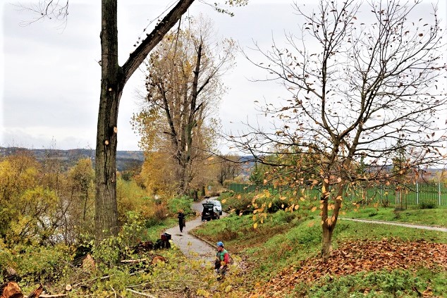 Obrázek #2 z 7