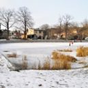 Chaberský Prostřední rybník - 2 ccc