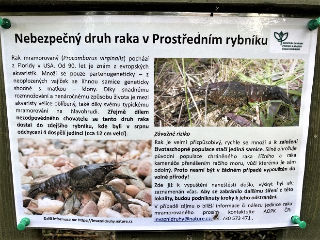 Obrázek #4 z 6
