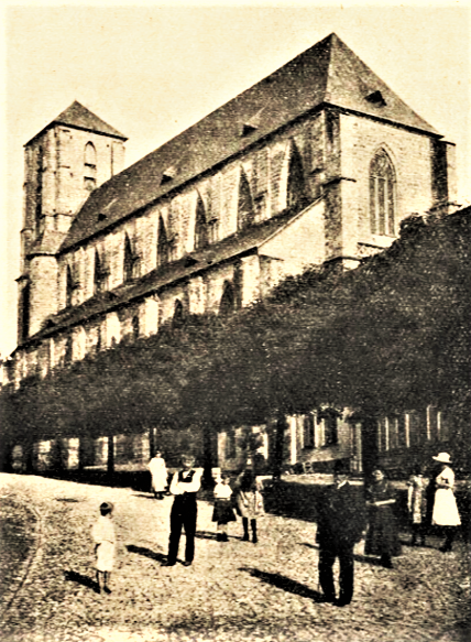 Obrázek #6 z 7
