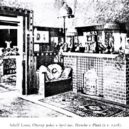 Adolf Loos – Vídeň, Paříž, Plzeň - 7b hirsch v plzni obývák 08 řeč