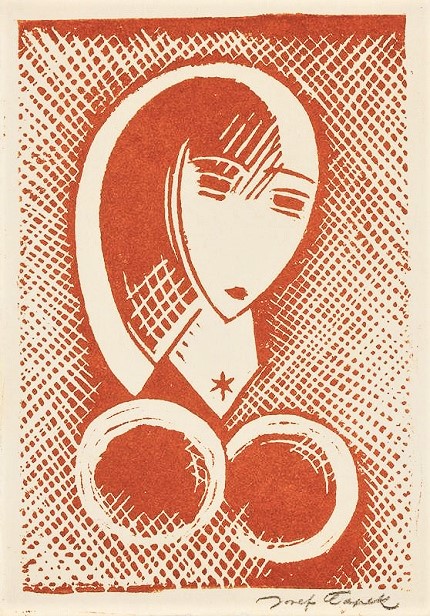 Obrázek #7 z 8