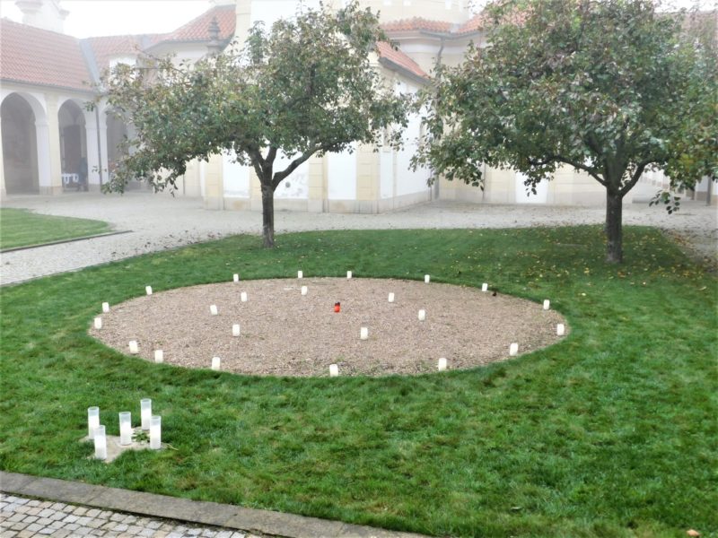 Obrázek #5 z 7