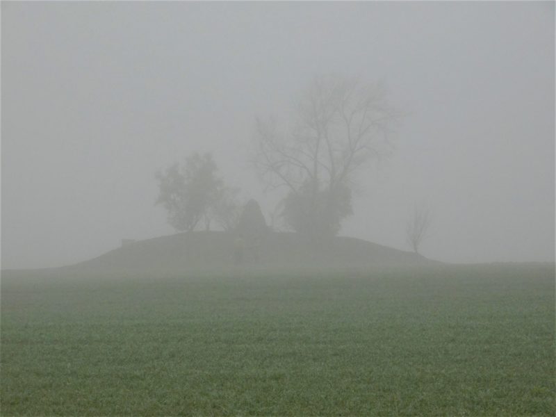 Obrázek #3 z 7