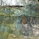 Na dně křídového moře - Na dně křídového moře 5