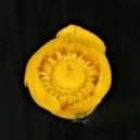 Botanická zahrada a skleník Fata Morgana - Botanická zahrada a skleník Fata Morgana 12