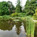 Botanická zahrada a skleník Fata Morgana - Botanická zahrada a skleník Fata Morgana 6