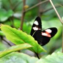 Botanická zahrada a skleník Fata Morgana - Botanická zahrada a skleník Fata Morgana 4