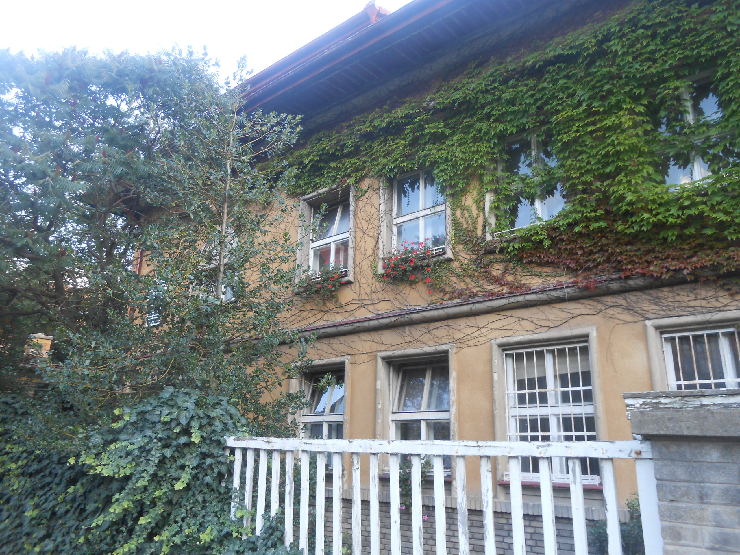 Obrázek #3 z 8