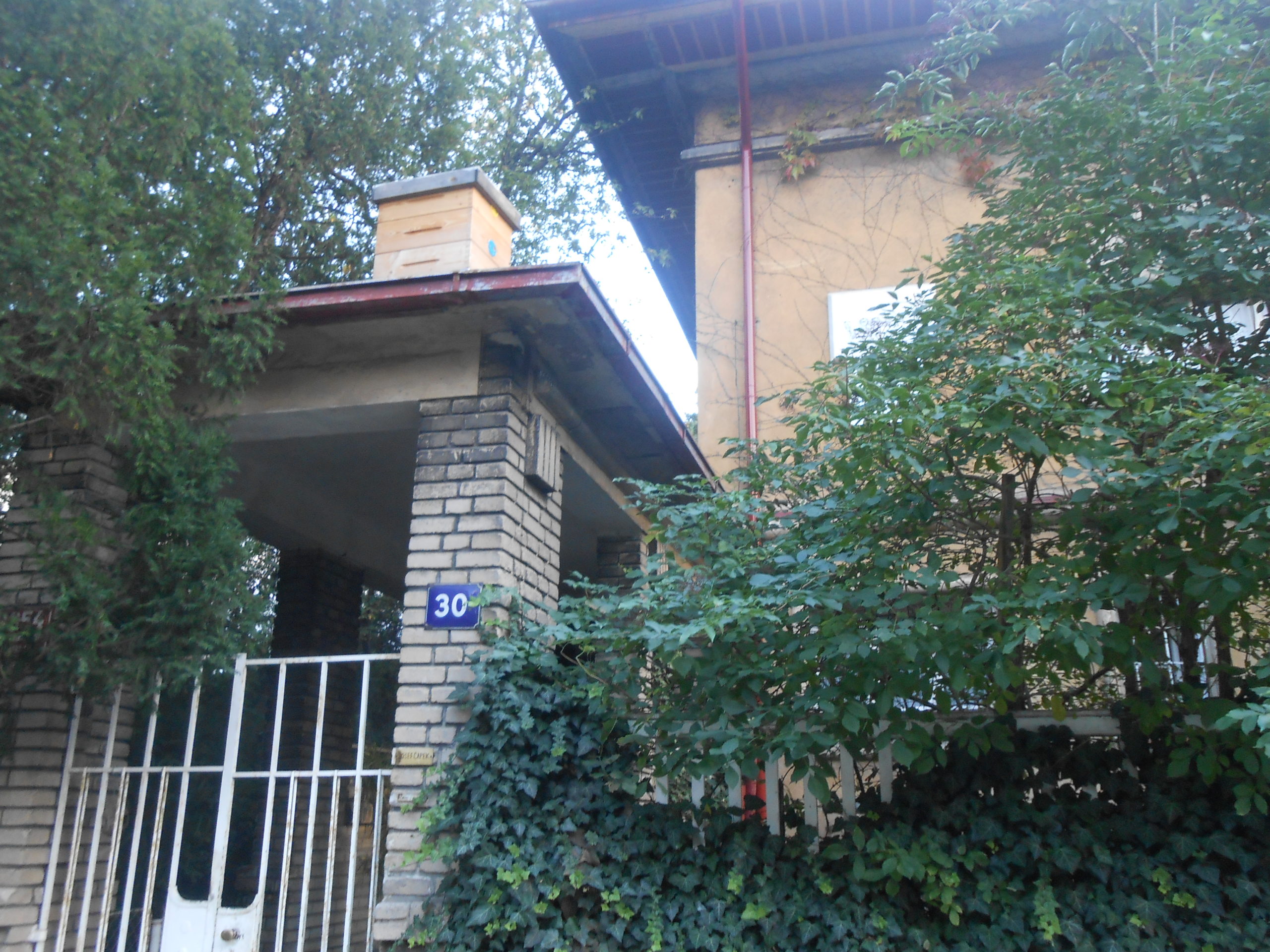Obrázek #5 z 8