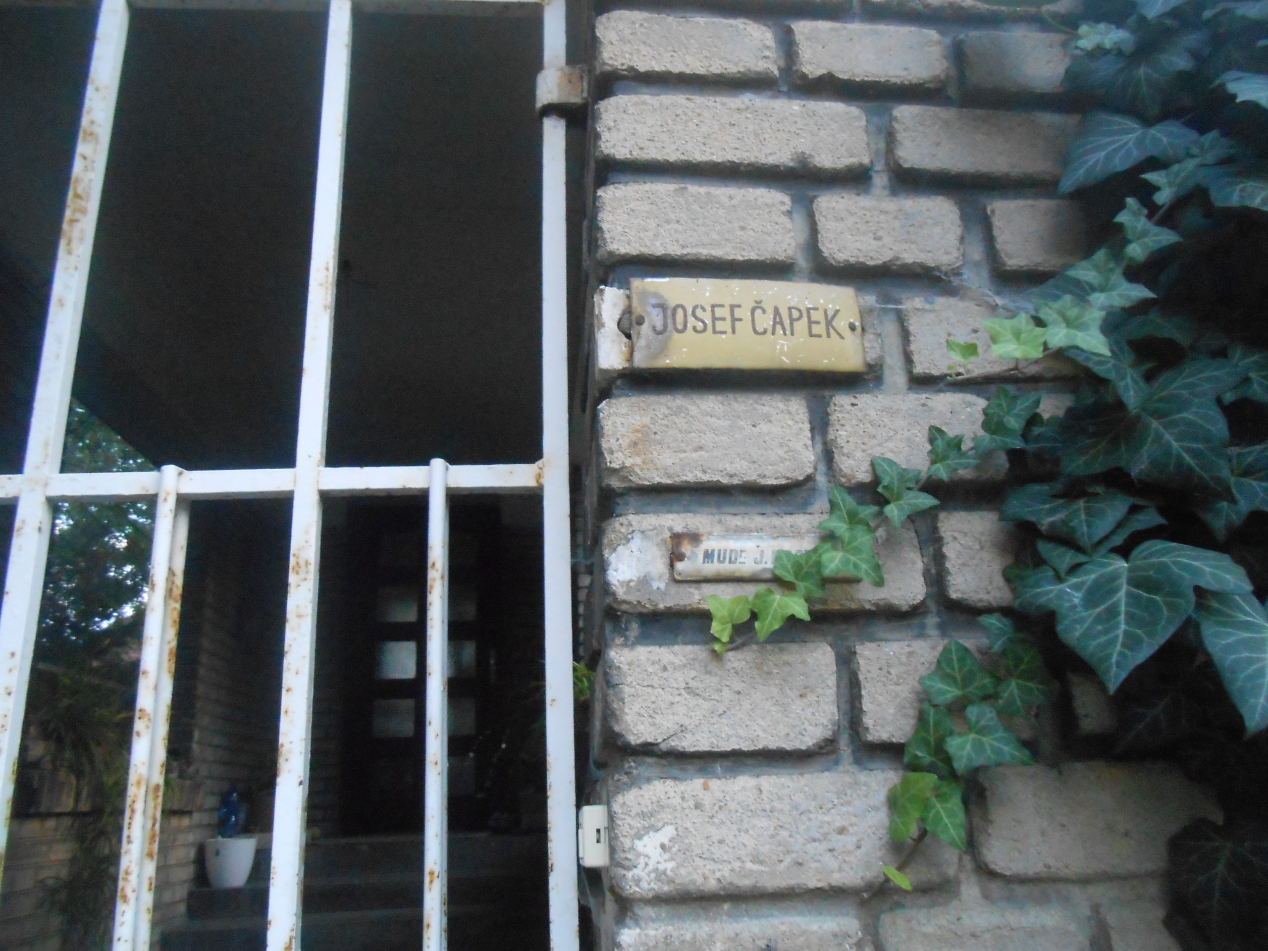 Obrázek #7 z 8