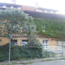 Čapkova vila – skrývá cenné předměty - Karel Čapek vila v Praze