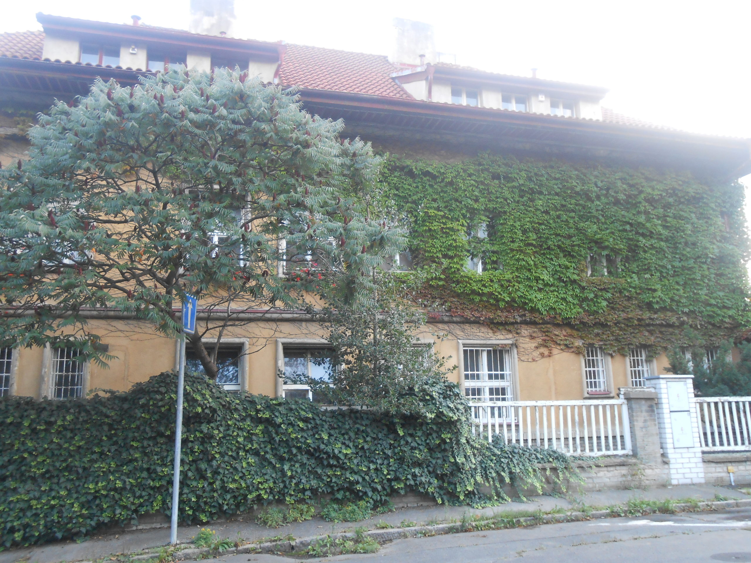Obrázek #6 z 8