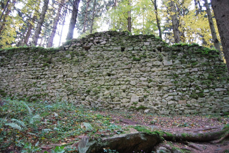 Obrázek #7 z 7