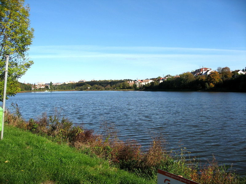 Tip na jarní vycházku: Navštivte největší pražský přírodní park Klánovice-Čihadla