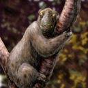 Lemur - Megaladapis