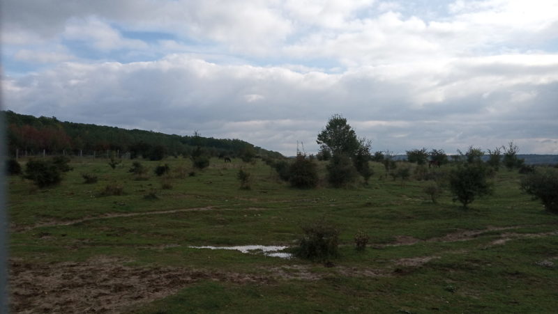 Obrázek #4 z 7