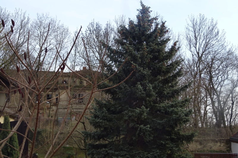 Obrázek #2 z 8