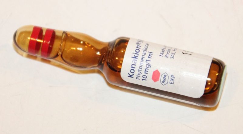 Přínos dánského vědce Henrika Dama znovu oceňujeme díky nejnovějším výzkumům
