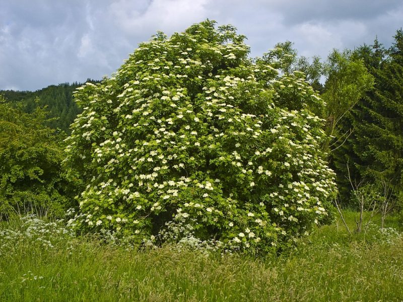 Obrázek #3 z 6