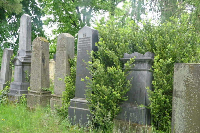 Obrázek #3 z 7