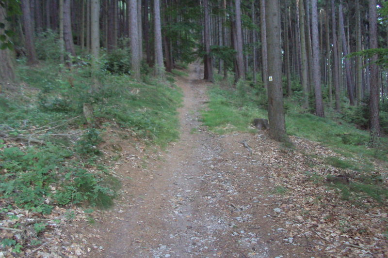 Obrázek #2 z 6