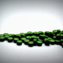 Vlasy v zimě - chlorella