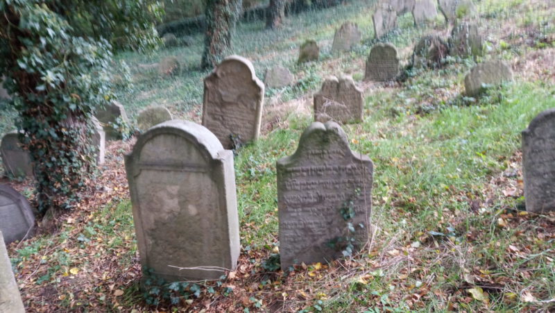 Obrázek #8 z 10