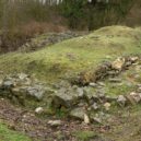 Rotunda a hradiště Starý Plzenec - Rotunda a hradiště Starý Plzenec