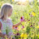 Biodiverzita v zahrádce - girl divka louka Třapatkovka echinacea