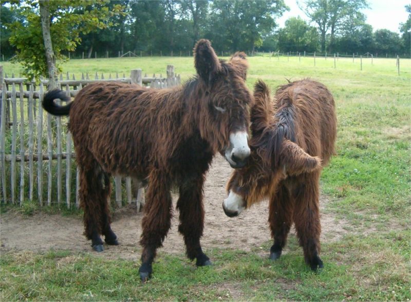 Obrázek #2 z 5