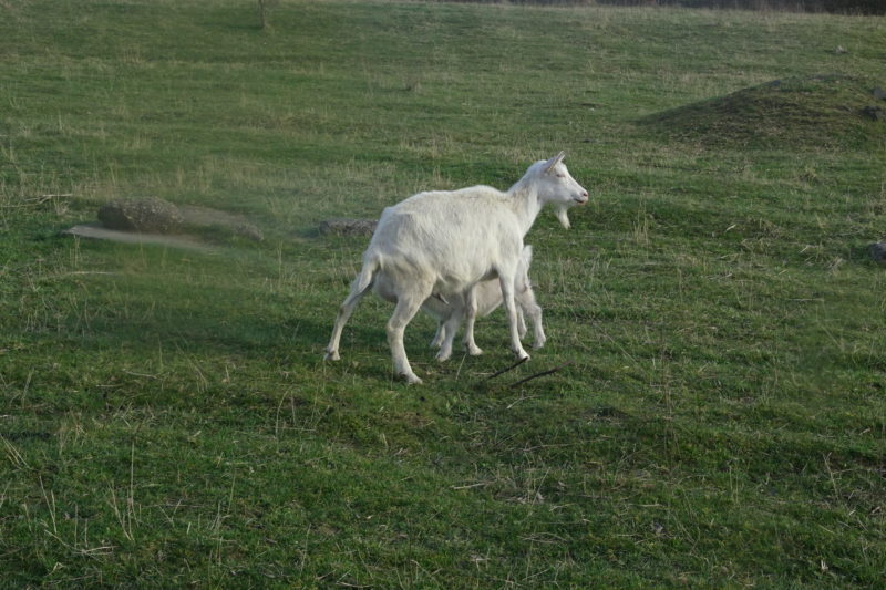Obrázek #7 z 8